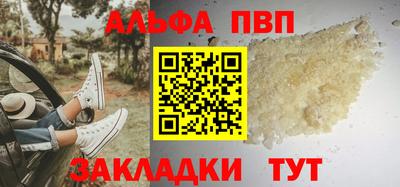 jwh Кингисепп