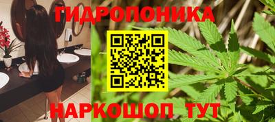 jwh Кингисепп